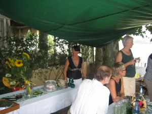 Bildbeschreibung1
