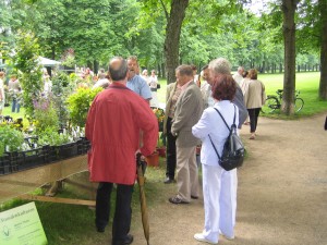 Bildbeschreibung2